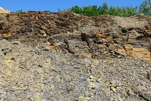  »4 Thin-to thick-platy mudstones of the Amaltheen Formation/Herford Lias Basin 