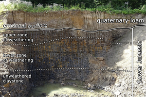  »7 Weathering profile with Quaternary mud covering/Herford Lias Basin 