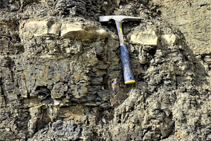  »5 Argillaceous ironstone geodes of the Arieten Formation/Markoldendorf Basin 