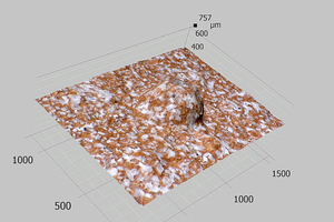  »6 3D roof tile surface with efflorescences of a soluble salt and a bulge (now seen from the visible side)  