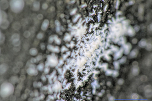  »8 Detail of a roof tile surface with efflorescences, shown without a depth sharpening correction at a tilt angle of 15° from the z-axis  