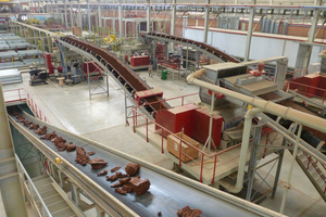  » VHV belt conveying technology in a brick plant 