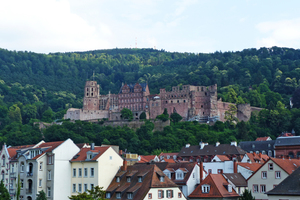  » Zu ihrer diesjährigen Verbandstagung trafen sich die Ziegler in Heidelberg 
