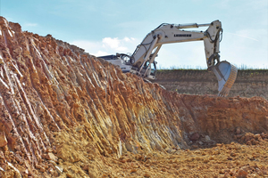  »11 Sedimentary clay deposit in the upper part of Devonian massive lime-stone/Taunus 