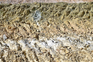  »5 Mariner grüner Glaukonit-Seladonitton aus dem Eozän/Mainzer Becken 