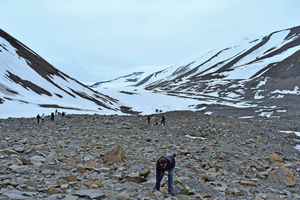  »6 Rezenter unverwitterter Moränenschutt bei Longyearbyen auf Spitzbergen/Norwegen 