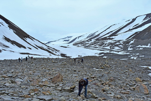  »6 Rezenter unverwitterter Moränenschutt bei Longyearbyen auf Spitzbergen/Norwegen 