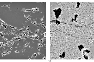  »2 Microstructural images of fine ceramic bodies after freezing 