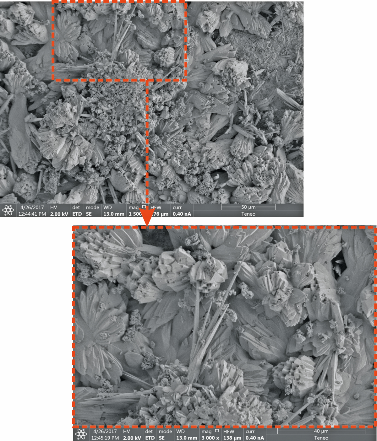 Zeitlicher Verlauf der mineralischen Karbonatisierung von