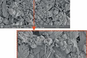  »Fig. 4: Neo-formed calcite crystal on the brick’s surface by SEM 