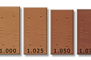  »5 Specimens of the Ottenhöfen filter cake fired in oxidizing atmosphere in a laboratory kiln 