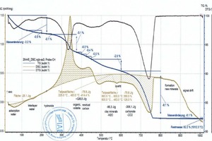  »6 DSC and TG curves for the BM R-CH mix, determination of the raw material enthalpy after setting the base line, left Processor 1 and dHR = +107 kJ/kg, right Processor 2 and dHR = -156 kJ/kg 