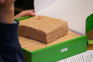  » Sample of a beech wood fibre mat intended for brick insulation 
