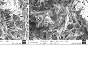  » Abb. 3: REM-Aufnahmen von Kieselalgen in Ziegelkeramik aus Mergel-Ton bei 5.000-facher Vergrößerung. Die Brenntemperatur betrug 1000 °C. Die Morphologie der Kieselalgen blieb erhalten 