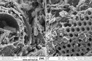  » Abb. 1: REM-Aufnahmen von Kieselalgen-Bruchstücken in Ziegelkeramik aus Mergel-Ton bei 2000-facher Vergrößerung. Die Brenntemperatur betrug 900 °C. Die Morphologie der Kieselalgen blieb erhalten [6] 