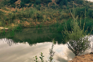   » New diversity: Where clay has been removed from the ground, a new living world has emerged in a short time. The natural biotopes of the clay pit provide the perfect stage for filming  