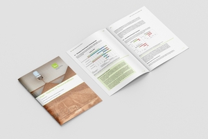   Studie „Ziegel – Roadmap zur Ressourceneffizienz“ des Instituts für Energie- und Umweltforschung Heidelberg (ifeu)  