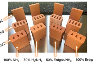 »Fig. 6: Comparison of the test specimens after firing with different gases.  