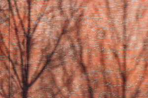  » The clinker manufacturer Deppe Backstein developed the 1670ws water-struck clinker specifically for this project. The special format measures 240 x 90 x 40 mm and was laid very tightly, without any visible bed joints or butt joints 