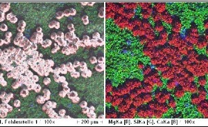  »1 Efflorescence on roofing tiles: secondary electron image with superimposed element distribution image (left), element distribution image (right) 