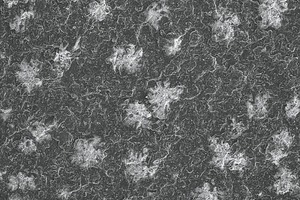  »5 Scanning electron image of surface efflorescence at 100-fold magnification 