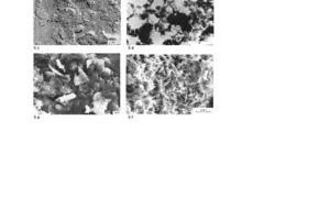  »5 Electron microscope images of clay minerals according to [10]a) Well-formed hexagonal kaolinite plateletsb) Kaolinite platelets in a “stack of coins”c) Severely weathered kaolinite (fireclay)d) Seladonitee) Illitef) Fine-grained montmorillonite 