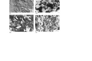  »5 Electron microscope images of clay minerals according to [10]a) Well-formed hexagonal kaolinite plateletsb) Kaolinite platelets in a “stack of coins”c) Severely weathered kaolinite (fireclay)d) Seladonitee) Illitef) Fine-grained montmorillonite 