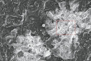  »6 Scanning electron image of surface efflorescence at 500-fold magnification 