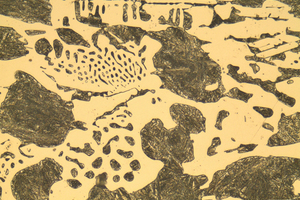  »5 “White-solidified“ ledeburitic microstructure of chilled cast iron alloy; martensitic matrix with cementite Fe3C  