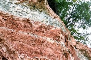  »12 Massive gypsum in strata and on joints. The sudden demise of the Hölle Brickworks at the beginning of the 1970s, Eichsfeld (1988) 