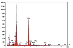  »7 EDX spectrum of the surface efflorescence 