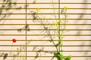  &gt;&gt; Nur jede dritte Fuge ist echt. Die natürliche Scherbenfarbe Sand entsteht durch ganz spezielle Tonmischungen und Brenntemperaturen 