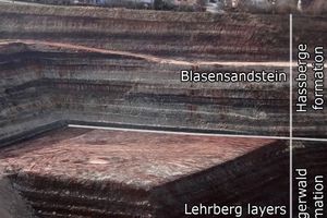  &gt;&gt;8 K4 Sequence in marginal facies: Lehrberg beds as a company-owned basic component of a well-known brickworks in Central Franconia/Southern German Block 