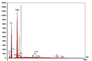  »22 EDX spectrum of the surface efflorescence 