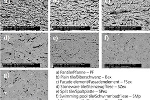  »2 Scanning electron micrographs of polished sections representing:a-e) extruded products; f, g) dry pressed products 