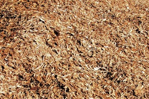  »1 Biomass, especially agricultural waste, can combine cost efficiency with environmental awareness 