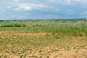  »4 Potenzielle Tonersatzstoffe: tonmineralische Schlämme aus der Kies- und Sand- sowie Natursteinwäsche, Jahresmengen: Deutschland rund 15 Mio. t, Mitteleuropa rund 50 Mio. t 