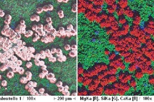  »23 SE-Bild und Elementverteilungsbild bei 100-facher Vergrößerung 