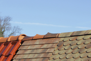  »8 In the Palatine municipality of Eisenberg, Wienerberger produces diverse clay roof tiles, including small quantities of plain tiles and other historical models 