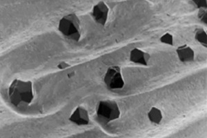  »3 Enlarged view of the surface of a grinding segment with diamonds, bond ridges and chip spaces (Source: Saint Gobain) 