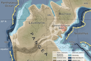  »1 Palaeogeographic position of the Central European Basin at the time of the Buntsandstein, modified model from: [3] 