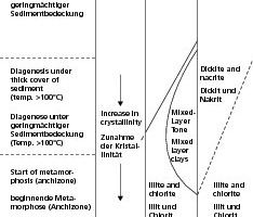  »3 Veränderungen der Tonmineralparagenese durch Versenkung und Metamorphose  